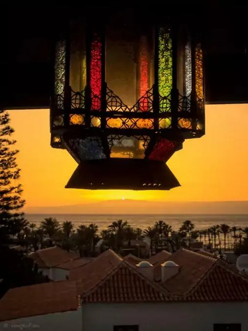 Apartment In Playa De Las Americas 1